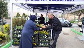 KABİR ZİYARETİNE GELEN VATANDAŞLARIMIZA ÇİÇEK DAĞITIMI YAPTIK